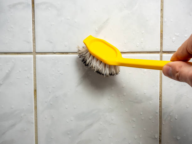 Best Toxic Mold Removal  in Diboll, TX