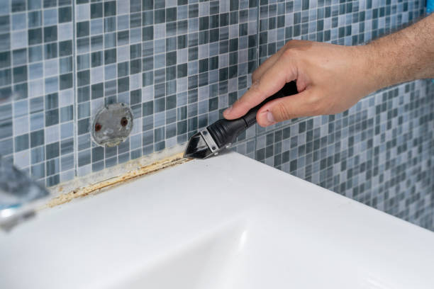 Best Attic Mold Removal  in Diboll, TX