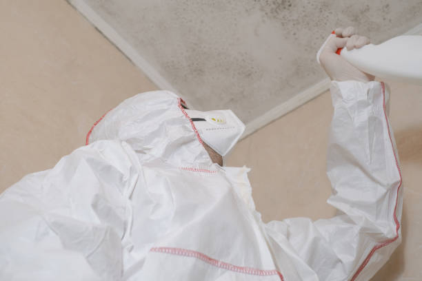 Diboll, TX Mold Removal Company
